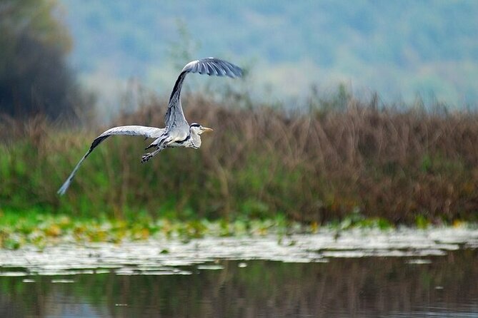 Virpazar Skadar Lake National Park Guided Boat Tour - What you may see from the boat