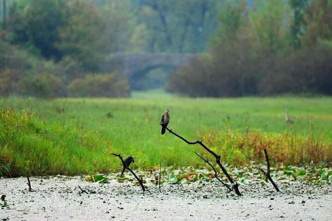 Virpazar Skadar Lake National Park Guided Boat Tour - A small group makes the two hours work better