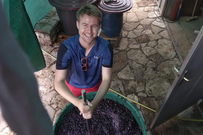 Wine tasting and magical tour from Kotor, Budva, Tivat (Lovcen,Skadar lake) - Rvasji winery: the day’s food and wine center