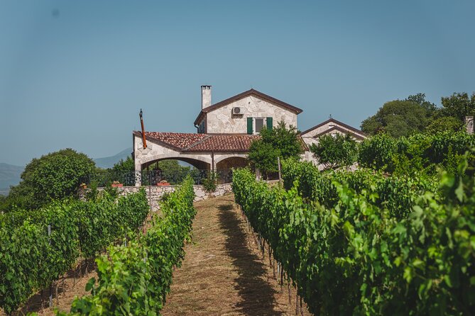 Wine tour- Family winery visit, food tasting & Skadar Lake boat cruise - Key points at a glance
